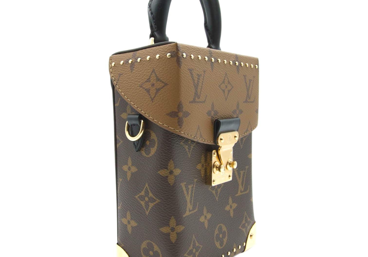 Louis Vuitton  Reverse Monogram Camera Bag