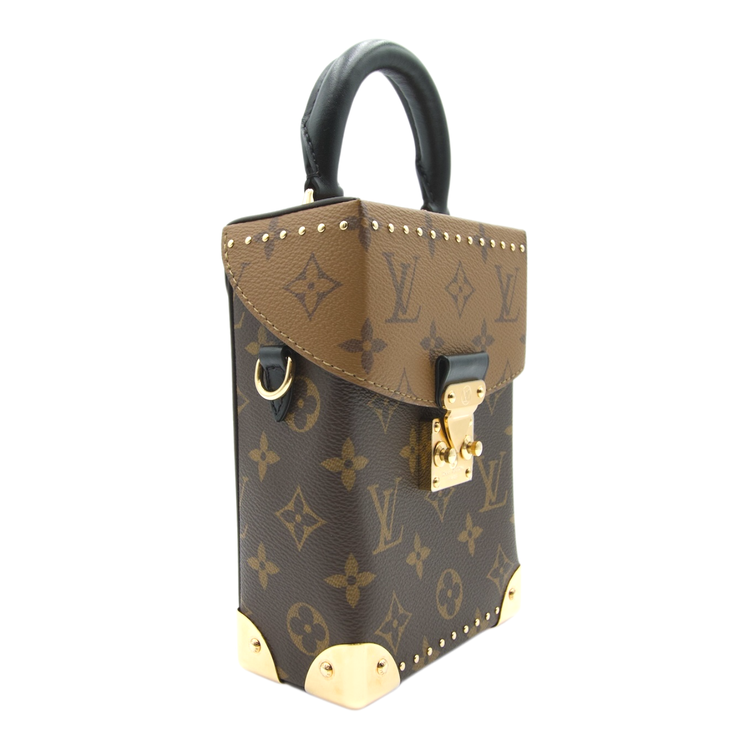 Louis Vuitton  Reverse Monogram Camera Bag
