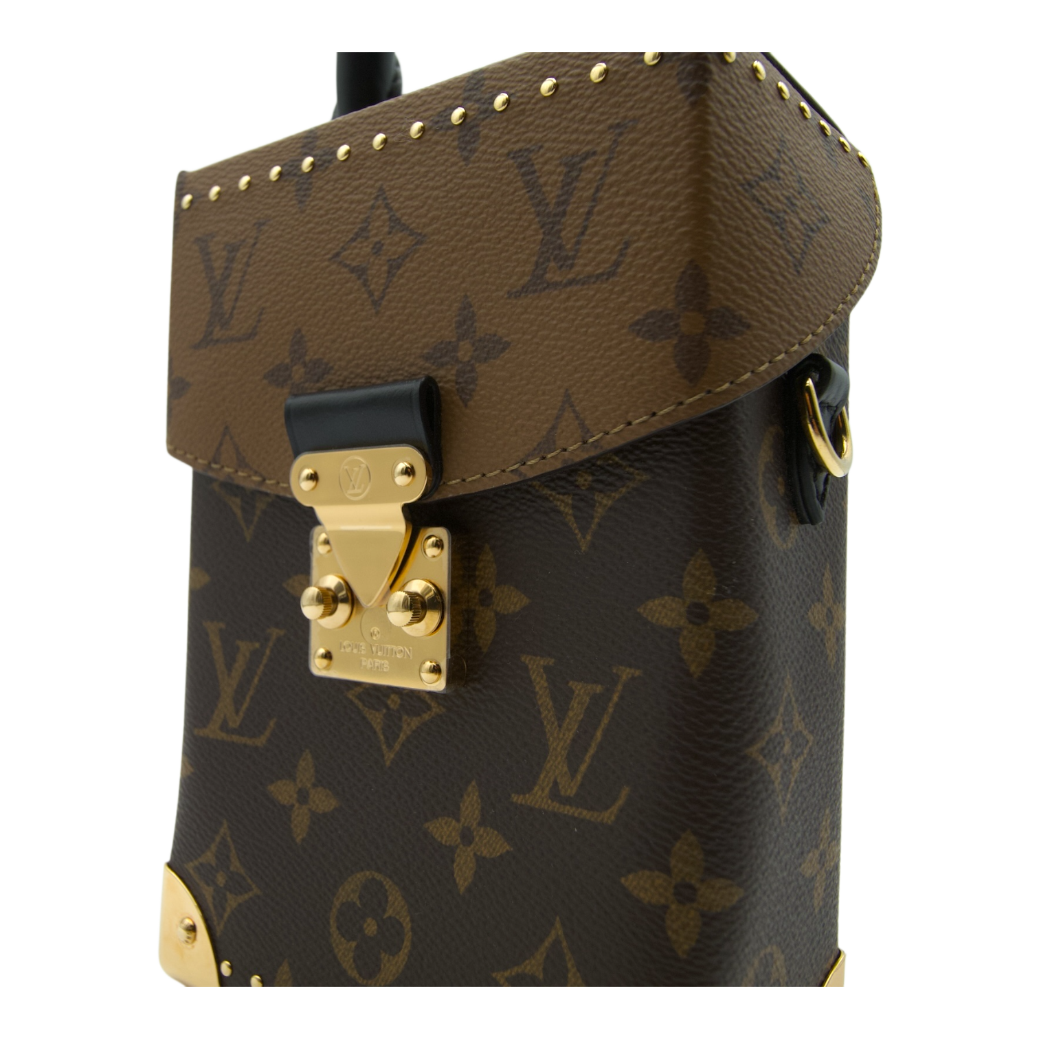 Louis Vuitton  Reverse Monogram Camera Bag