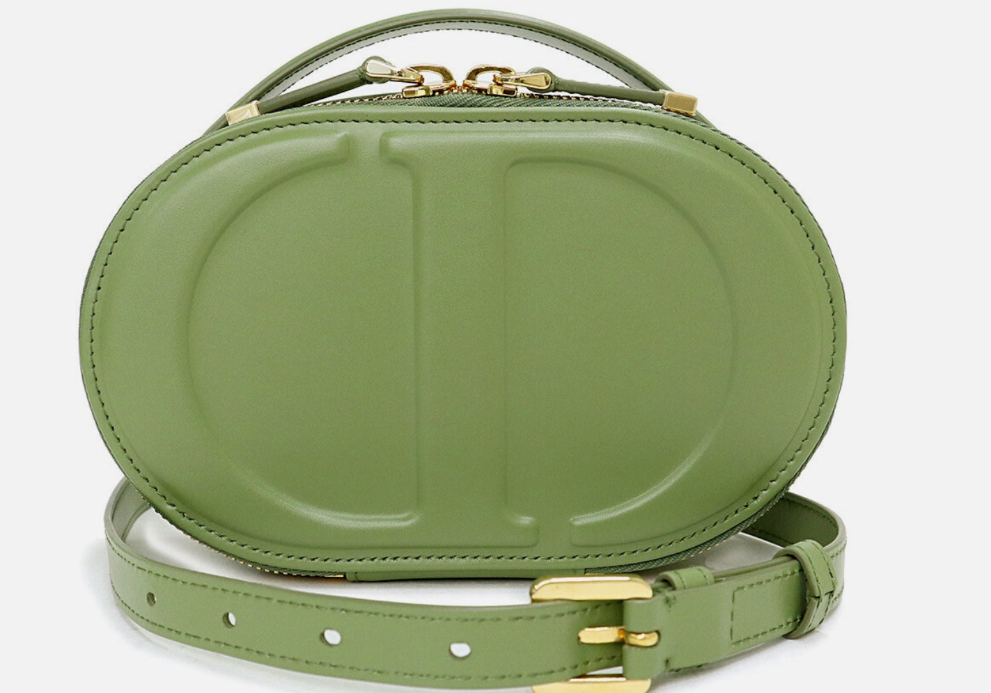 Dior Signature Oval Camera Bag