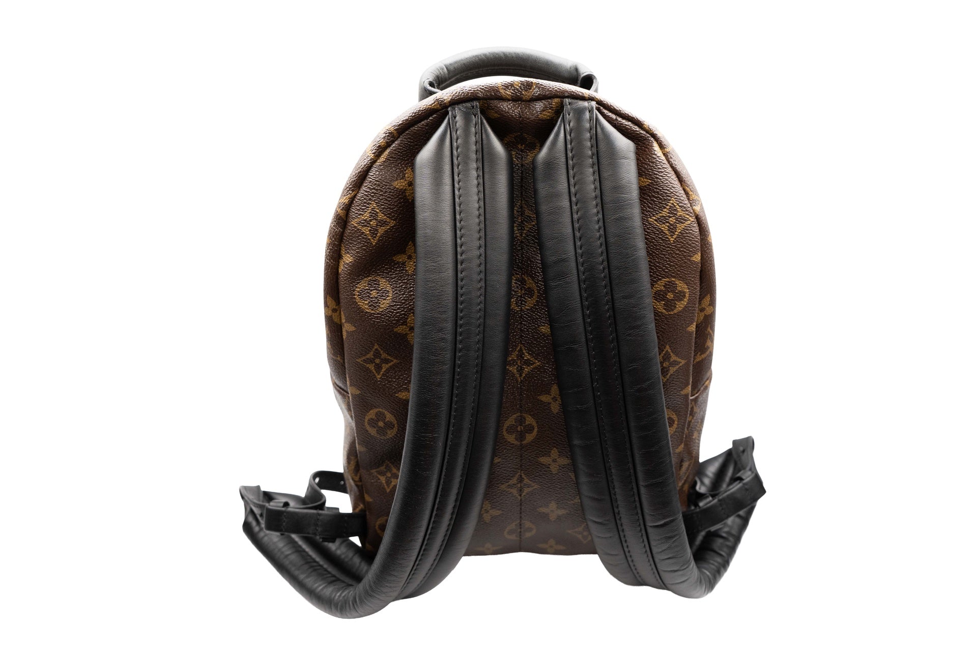 Louis Vuitton Reverse Monogram Palm Springs Backpack